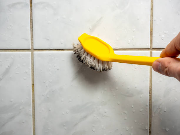 Certified Mold Removal in Kenbridge, VA