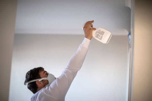 Best Affordable Mold Removal  in Kenbridge, VA