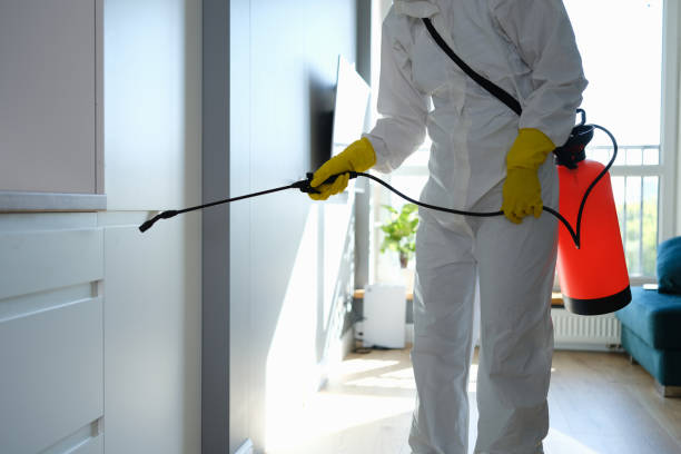 Best Professional Mold Removal  in Kenbridge, VA