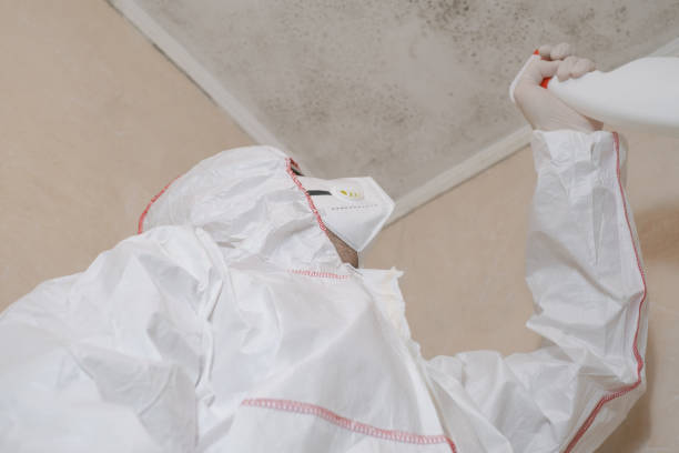 Best Mold Testing  in Kenbridge, VA