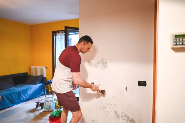 Best Mold Testing  in Kenbridge, VA