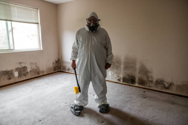 Best Toxic Mold Removal  in Kenbridge, VA