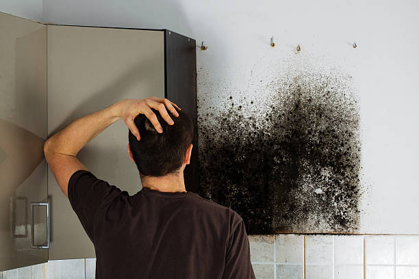 Home Mold Removal in Kenbridge, VA